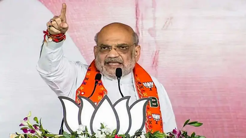 RSS does not interfere' - Shah clarifies on speculation about Vice Presidential candidate