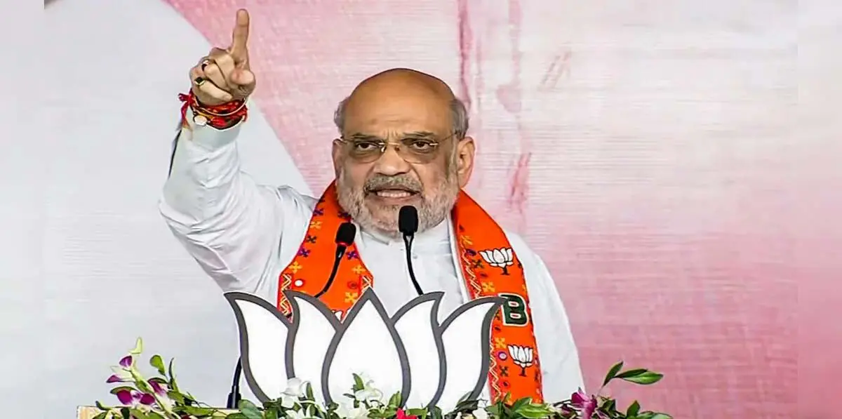 RSS does not interfere' - Shah clarifies on speculation about Vice Presidential candidate