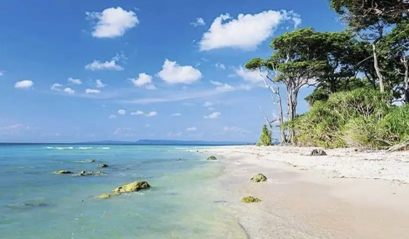 India Nears Guyana-Like Oil Jackpot: 2 Lakh Crore Liters Found in Andaman Waters