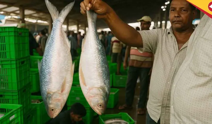 1,200 MT Padma Hilsa to Enter India from Bangladesh Before Durga Puja