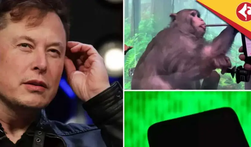 Neuralink Claims Success in Monkey Brain Test