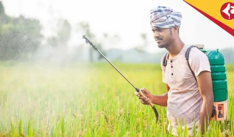 PMFBY Crop Insurance 2025