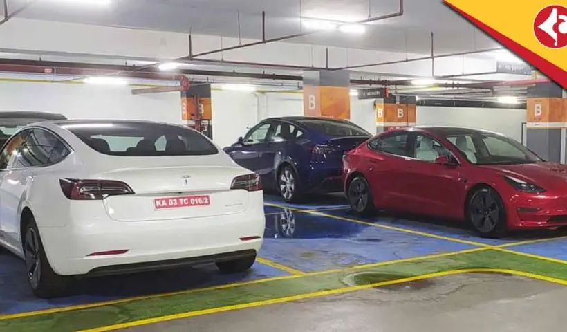 Tesla Model 3 and Model Y spotted without camouflage