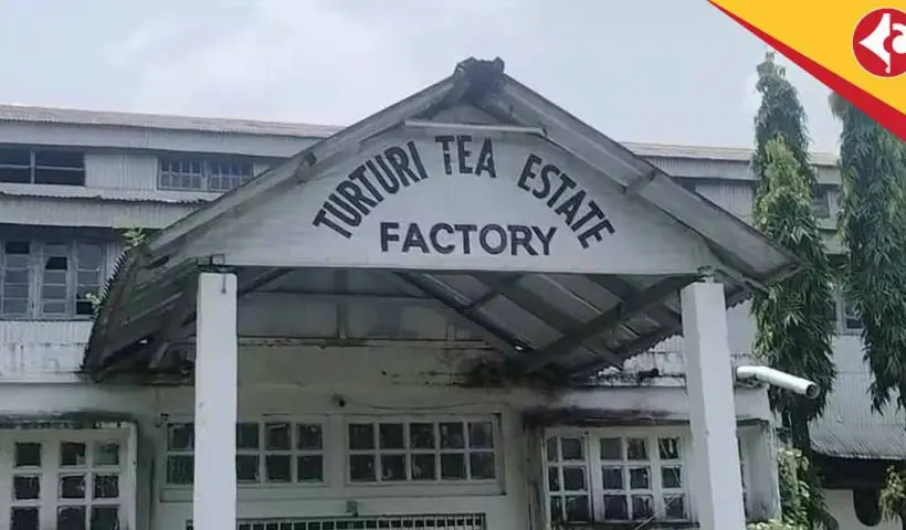 Turuturi Tea Estate Shuts Down