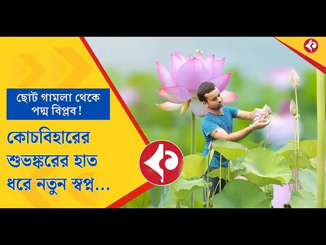 From Small Pots to Big Dreams: Cooch Behar’s Shubhankar Redefines Lotus Farming