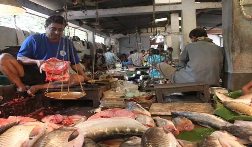 Bengal Excels in Fisheries, But Registration Portal Remains a Key Concern