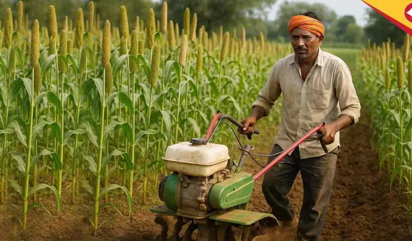 Why Thousands of Farmers Are Switching to Millets in 2025: Climate Resilience and Economic Benefits