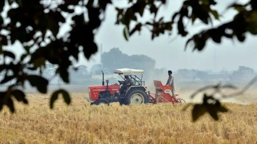 jamboni-women-reap-rewards-from-cultivating-gobindobhog-rice