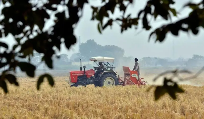 jamboni-women-reap-rewards-from-cultivating-gobindobhog-rice