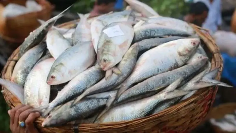 howrah-wholesale-market-check-latest-prices