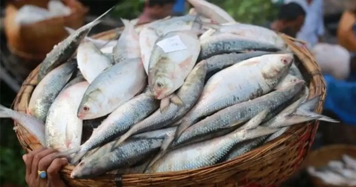 howrah-wholesale-market-check-latest-prices