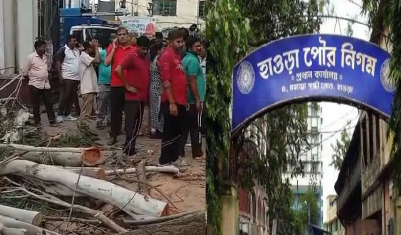 tree falls in howrah municipality