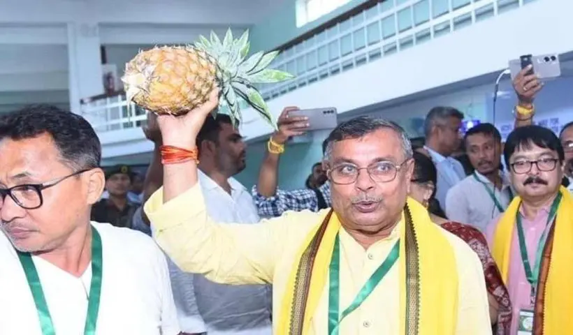 Tripura agriculture growth