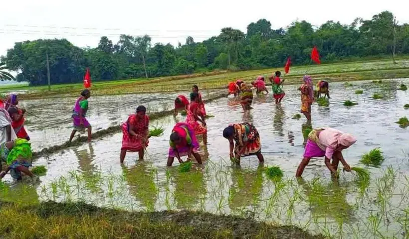 CPIM Reclaims Farmers’ Land in Paschim Medinipur Amid Alleged Trinamool Inaction