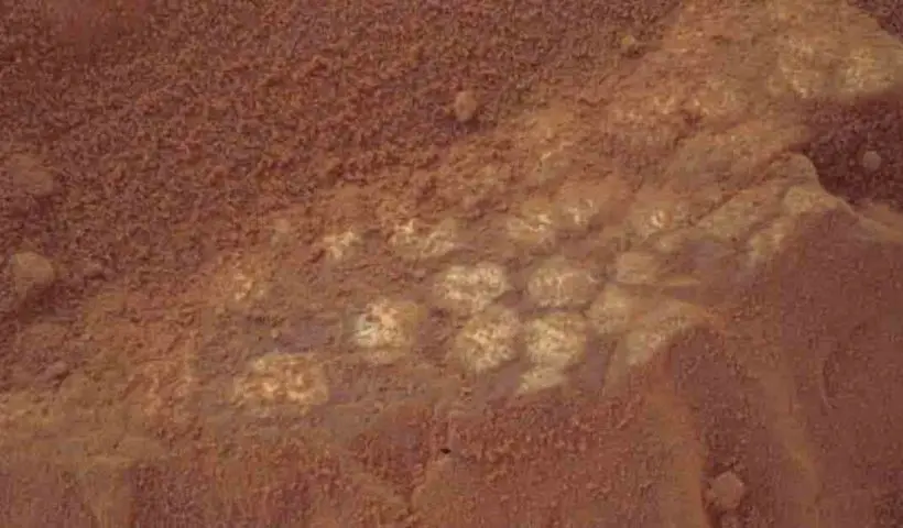 Dinosaur Eggs on Mars