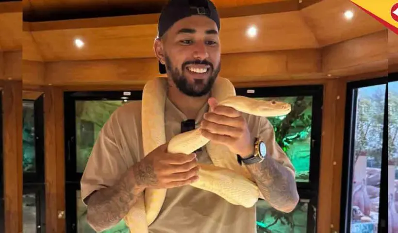 Miguel Figueira Snake Photos Go Viral