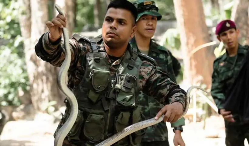 Military Exercise army