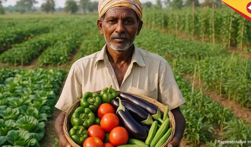 Top Profitable Vegetables to Grow in West Bengal