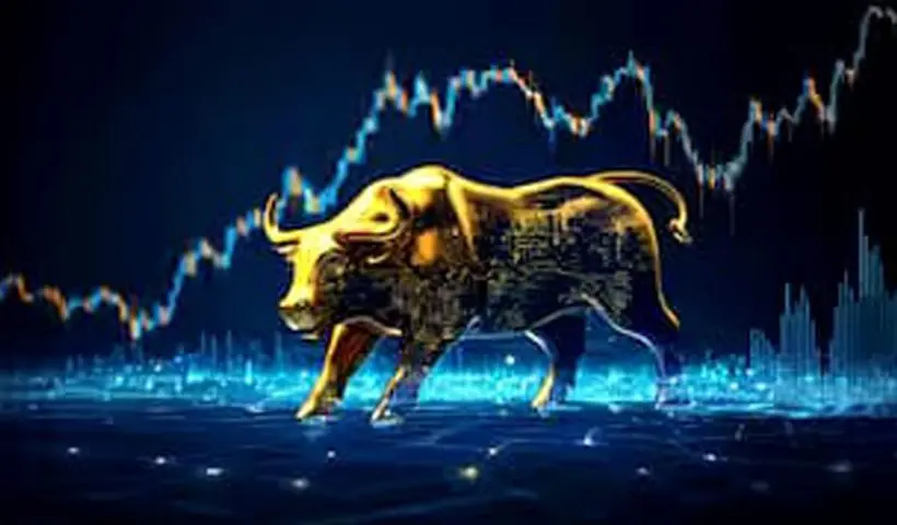 Indian stock market rally