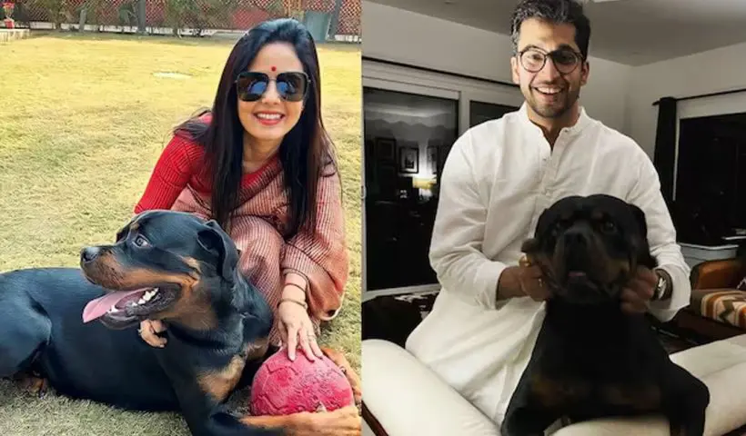 Mahua Moitra Dog Custody