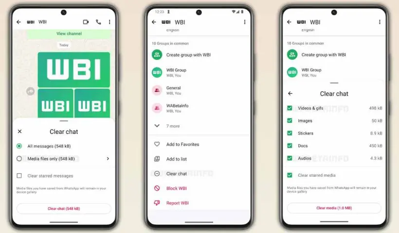 WhatsApp Chat Cleanup feature