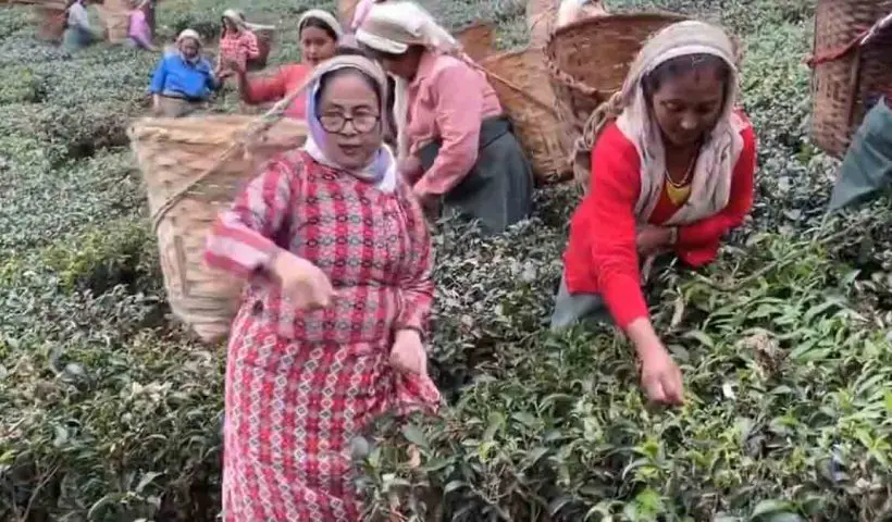 cha-sundari-project-eviction-allegations-tarunjyoti-tiwari