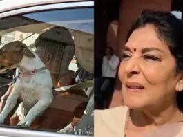sambit-patra-rahul-renuka-parliament-dog-controversy-news