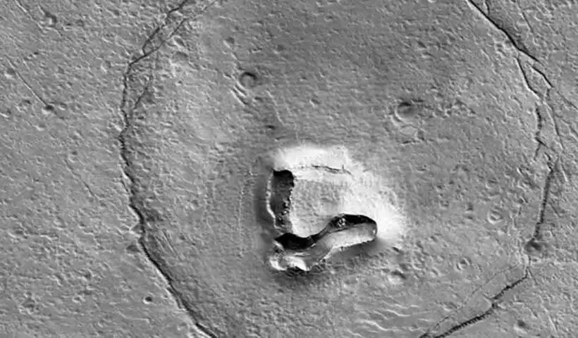 Teddy Bear on Mars