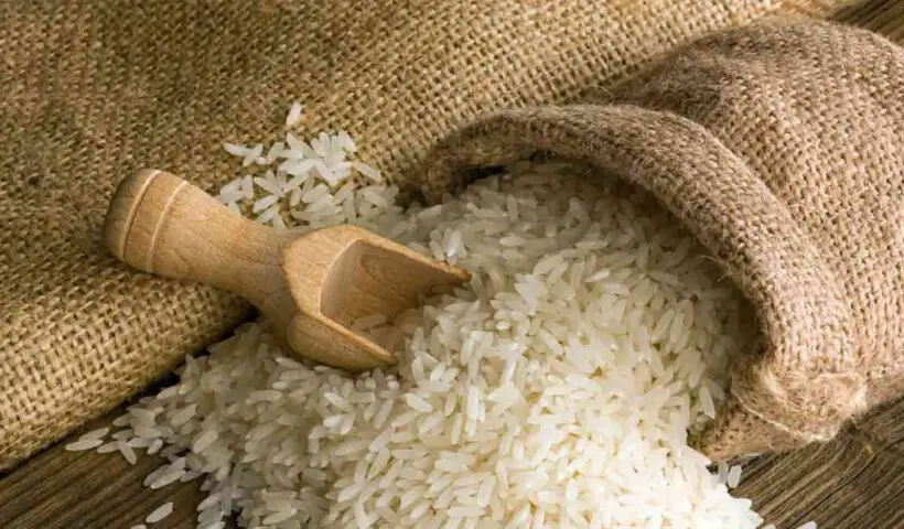 west-bengal-agriculture-new-rice-varieties