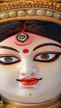 Blooms Everywhere, Relief Nowhere: Flower Prices Surge