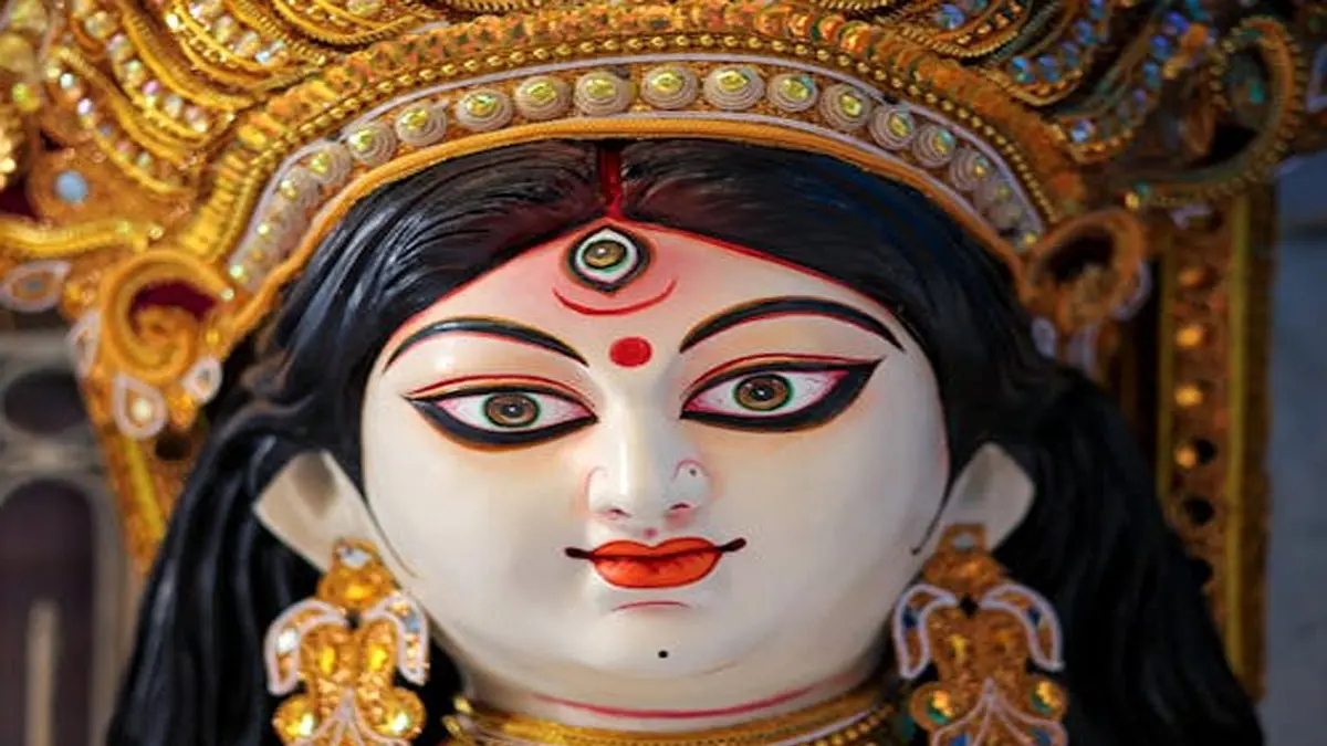 Blooms Everywhere, Relief Nowhere: Flower Prices Surge