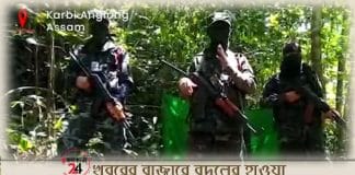 dnla militant of assam