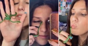girl, snake, shocking video