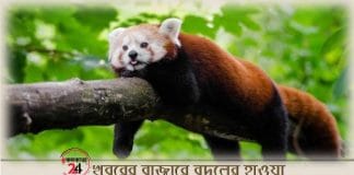 Yumthang Valley red ponda