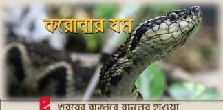 Brazilian viper venom may become tool in fight against COVID