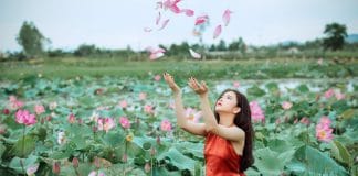 Lotus flower, Bankurar, Durga Puja