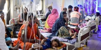 Unknown fever bengal