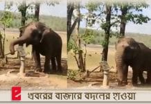 elephant uses hand pump in viral video