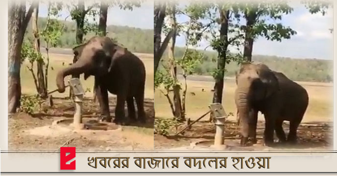 elephant uses hand pump in viral video
