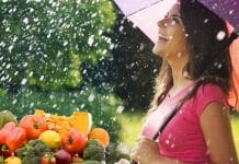 বর্ষাকালে আপনার খাবার সতেজ এবং স্বাস্থ্যকর রাখার সেরা টিপস food-fresh-and-healthy