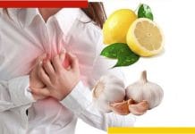Ayurvedic Treatment: আয়ুর্বেদেই কমান হৃদরোগের ঝুঁকি heart attack ayurvedic treatment