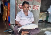 রূপনারায়ণের নাম ভাঙিয়ে বাজারে ভুয়ো ইলিশ, প্রতারিত ক্রেতারা Big size hilsa caught in the nets in uluberia
