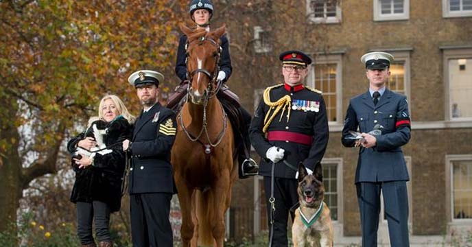 Celebrating 75 years of animal bravery from heroic horses