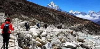 Five trekkers found dead in Himachal Pradesh