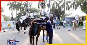 Kolkata police horses