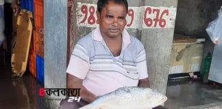 hilsa