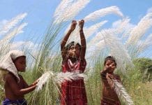 The rainy season is leaving Bengal