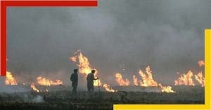 Delhi Pollution