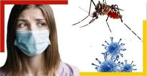 Dengue is spreading panic