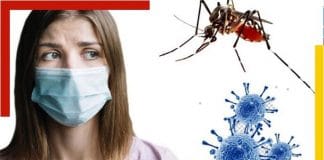 Dengue is spreading panic